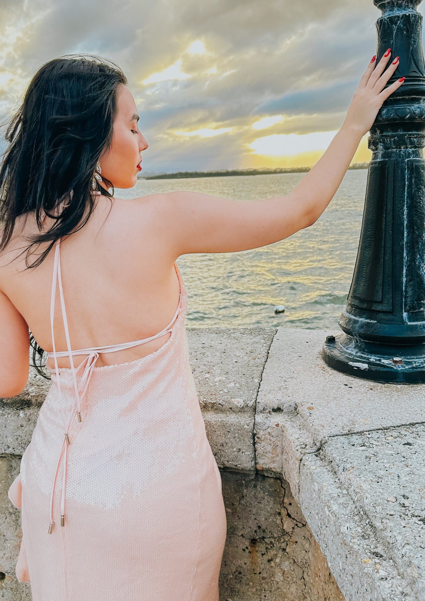 The Last Dance Dress