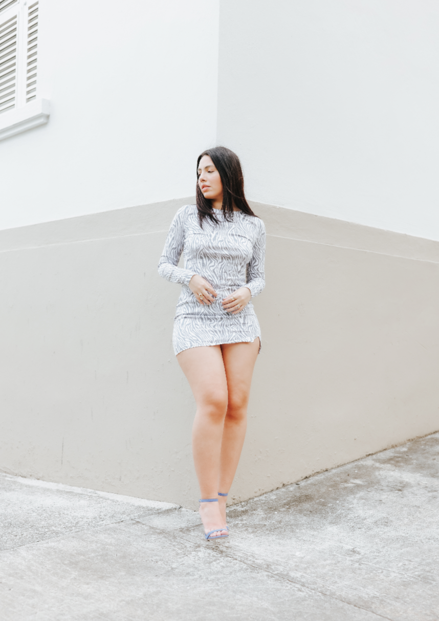 Zebra Mini Dress