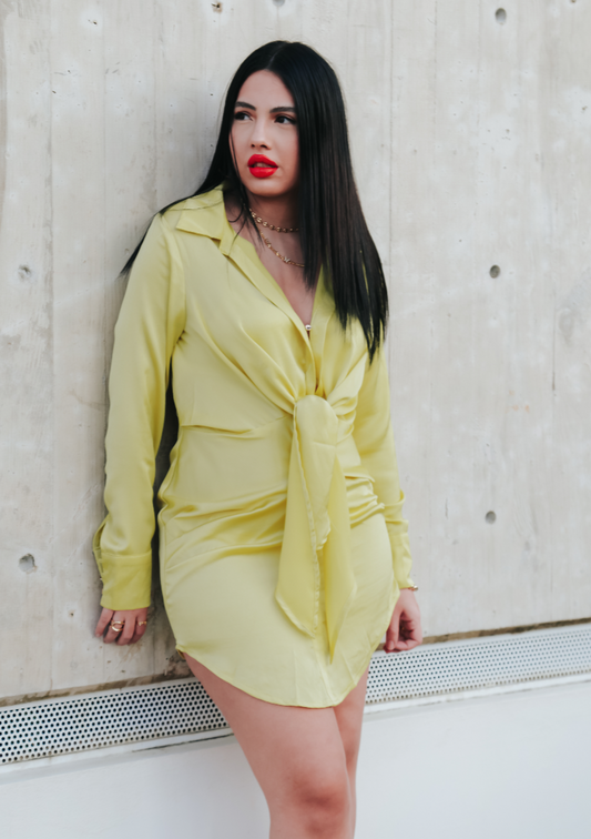 Vero Long Sleeve Satin