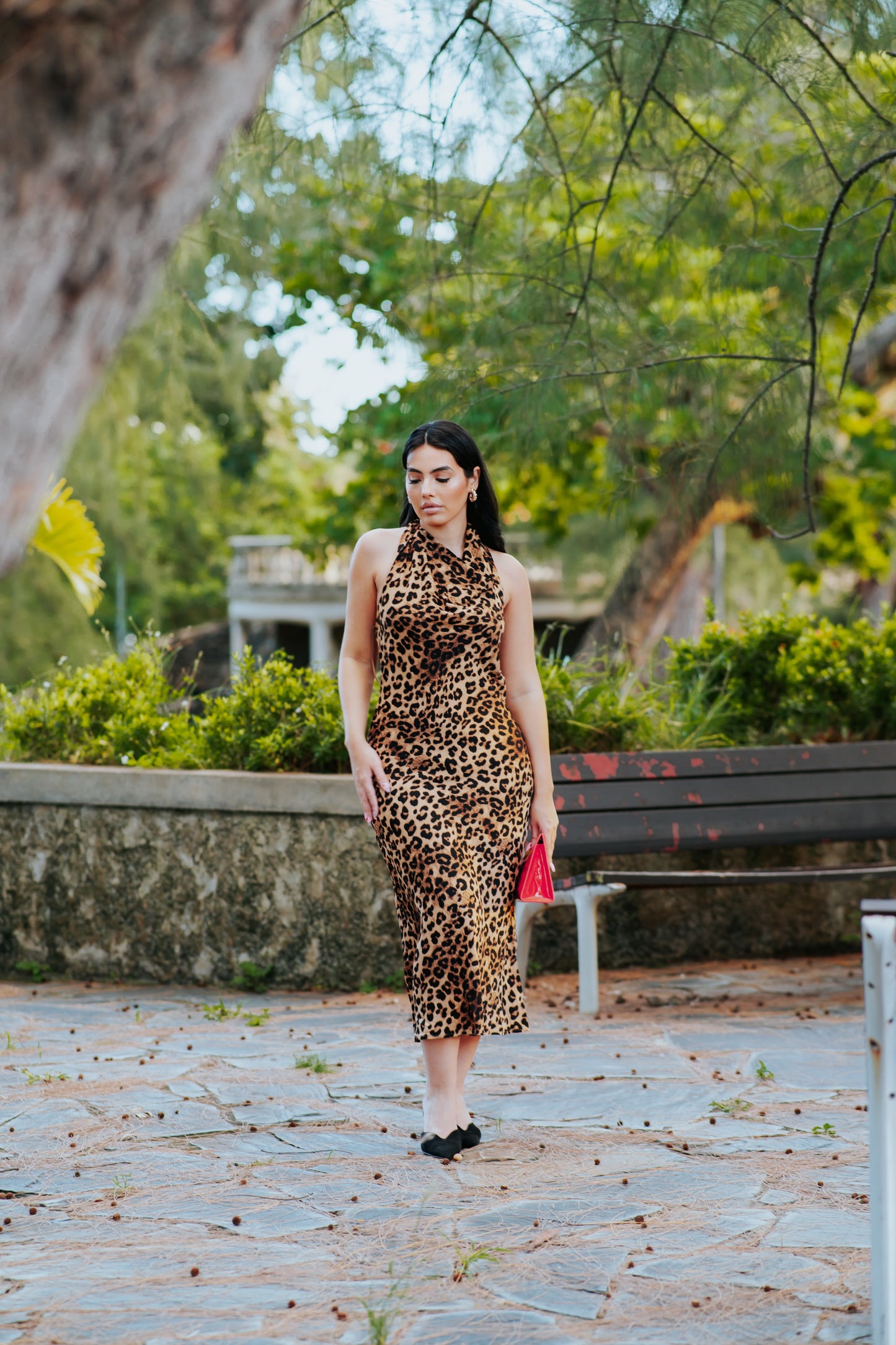 Animal Print Dress